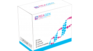 馬、驢源性恒溫核酸檢測(cè)試劑盒